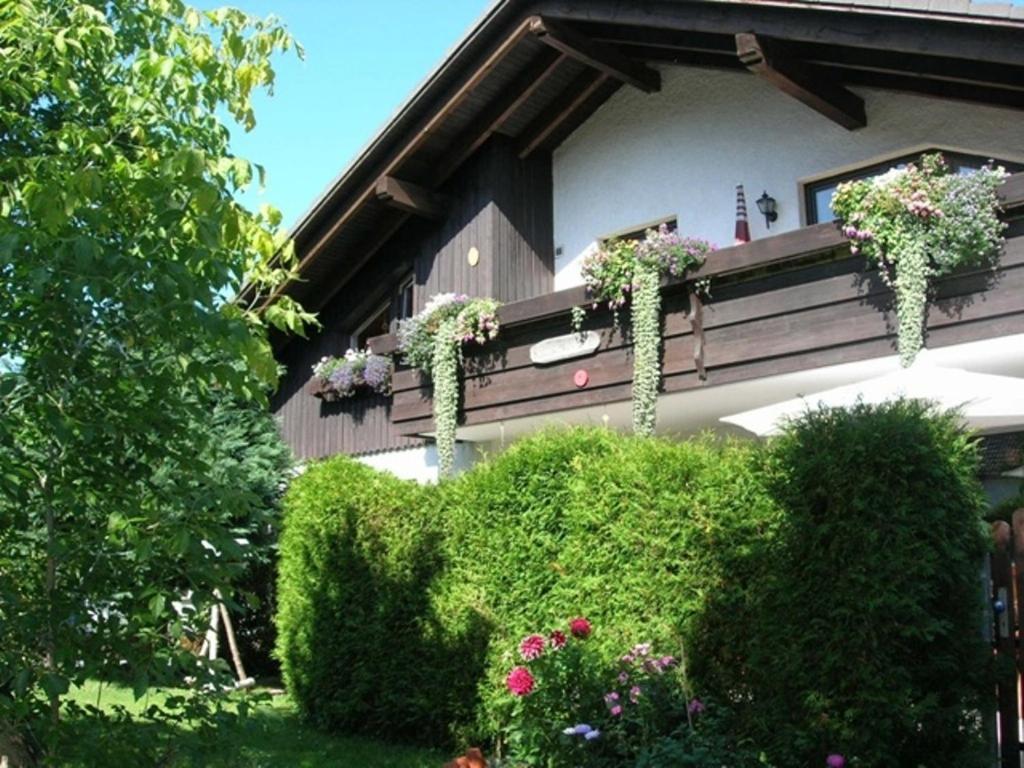 Harzhaus Rauch Appartement Braunlage Kamer foto